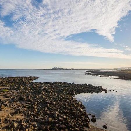 Jeju Washington Pension Seogwipo Bagian luar foto