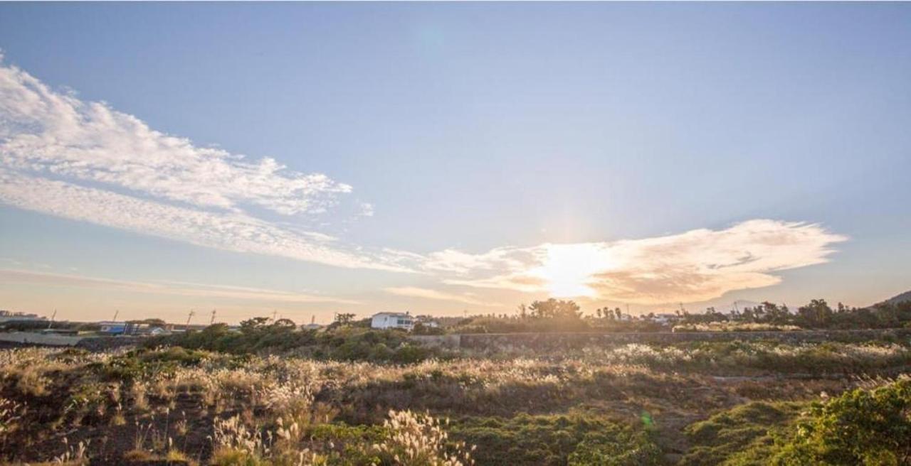 Jeju Washington Pension Seogwipo Bagian luar foto